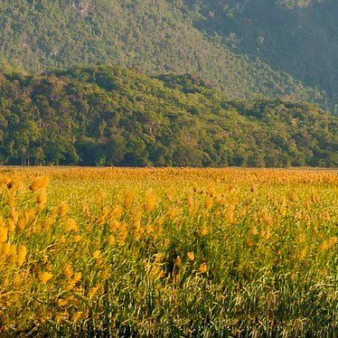 TERRENOS Y SOLARES en venta